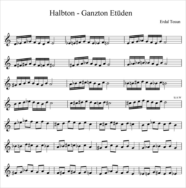 Halbton-Ganzton Et&uuml;en /// Copyright: Erdal Tosun 2013